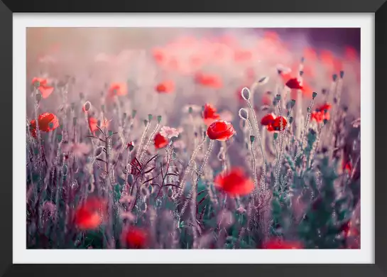 Prairie de coquelicots - tableau champs de coquelicots