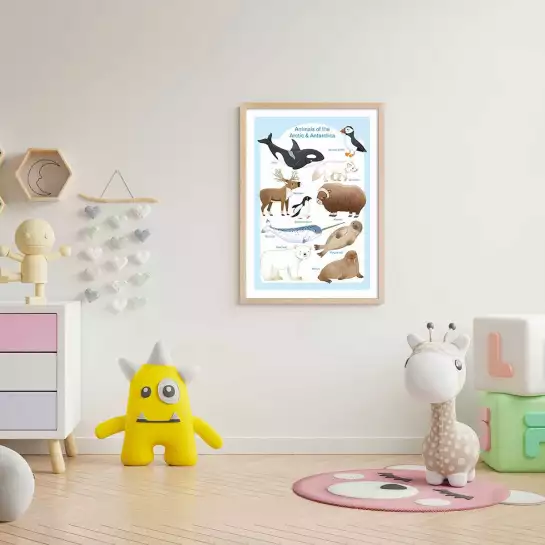 Animaux polaires - affiche pour enfant