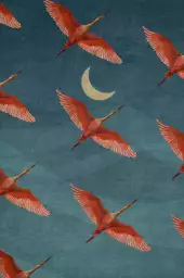 Grues dans le ciel - tableau oiseaux tropicaux