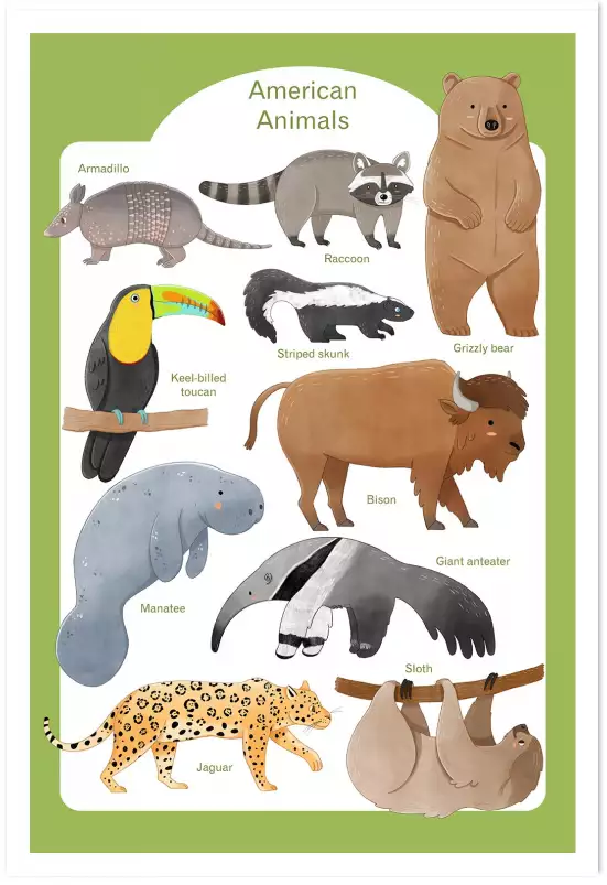 Animaux d'Amérique - affiche pour enfant