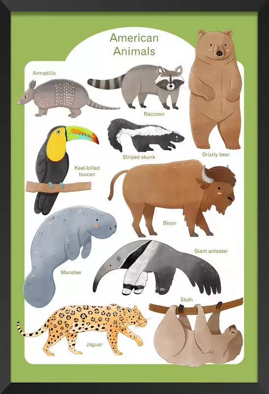 Animaux d'Amérique - affiche pour enfant