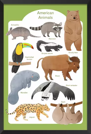 Animaux d'Amérique - affiche pour enfant