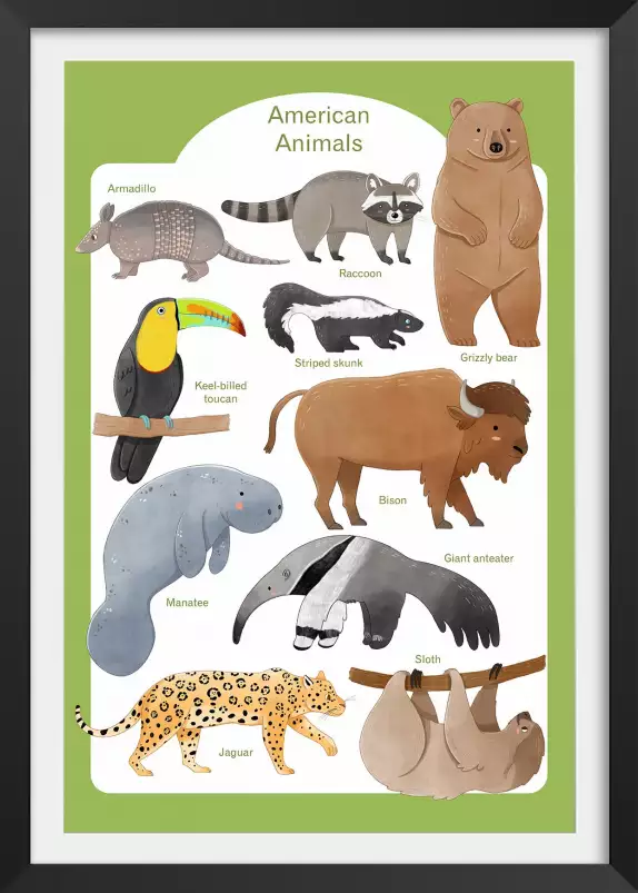 Animaux d'Amérique - affiche pour enfant