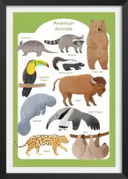 Animaux d'Amérique - affiche pour enfant