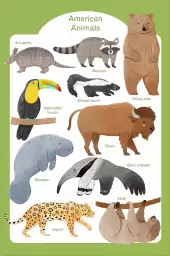 Animaux d'Amérique - affiche pour enfant