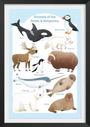 Animaux polaires - affiche pour enfant