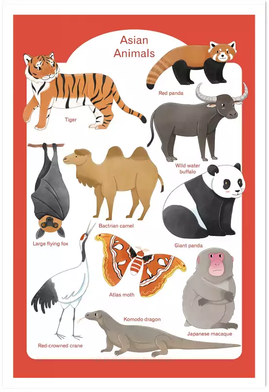 Animaux d' Asie - affiche pour enfant