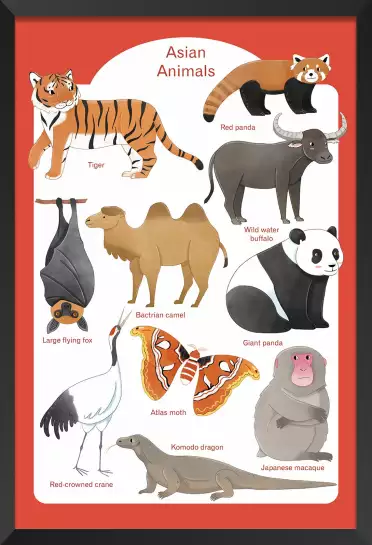 Animaux d' Asie - affiche pour enfant