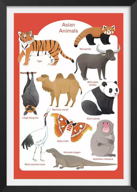 Animaux d' Asie - affiche pour enfant