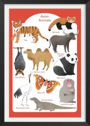 Animaux d' Asie - affiche pour enfant