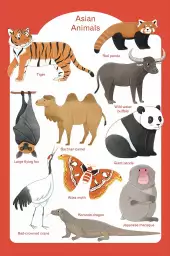 Animaux d' Asie - affiche pour enfant