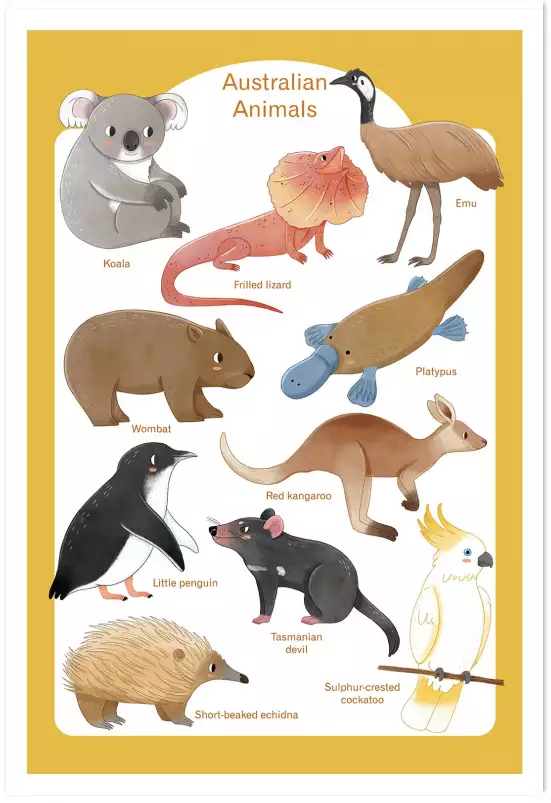 Animaux d' Australie - affiche pour enfant