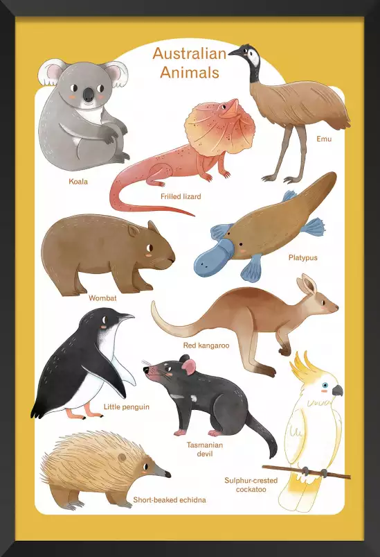 Animaux d' Australie - affiche pour enfant