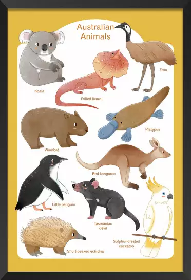 Animaux d' Australie - affiche pour enfant