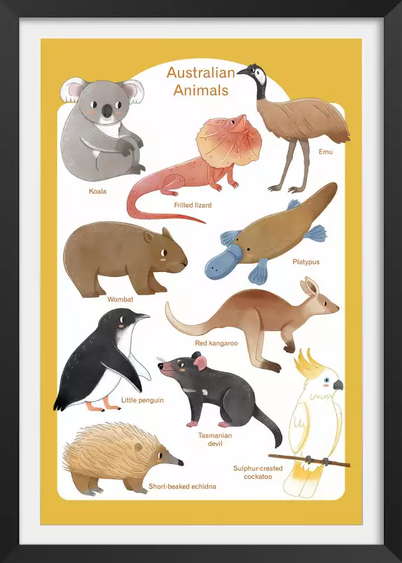 Animaux d' Australie - affiche pour enfant