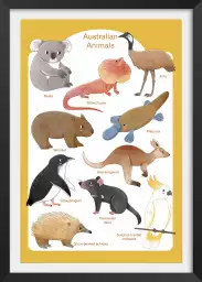 Animaux d' Australie - affiche pour enfant