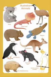 Animaux d' Australie - affiche pour enfant