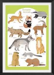 Animaux d'Europe - affiche pour enfant