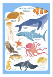 Animaux marins - affiche pour enfant