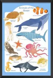 Animaux marins - affiche pour enfant