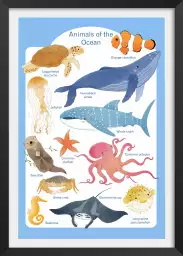 Animaux marins - affiche pour enfant