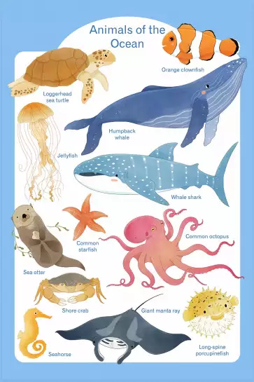 Animaux marins - affiche pour enfant