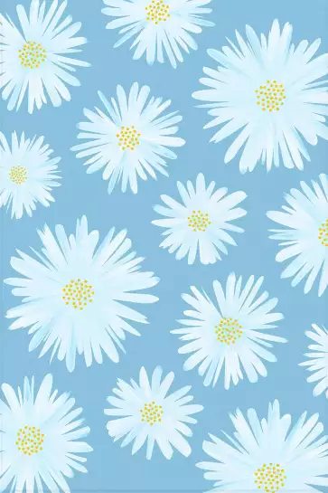 Marguerites daisies - affiche fleurs