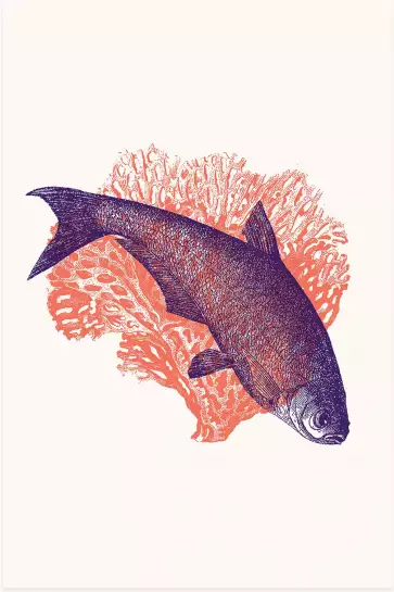 Poisson et corail - affiche surrealiste