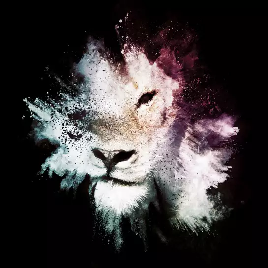 Lion wild explosion - poster animaux