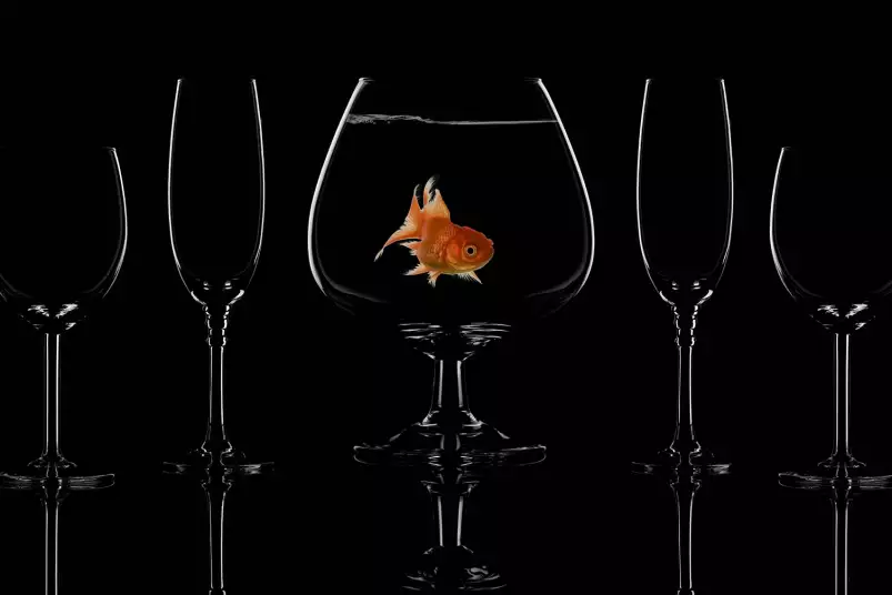 Poisson en verre - affiche cuisine design