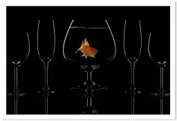 Poisson en verre - affiche cuisine design