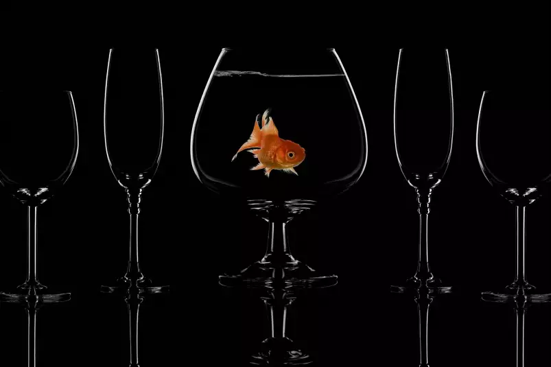 Poisson en verre - affiche cuisine design