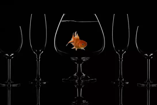 Poisson en verre - affiche cuisine design