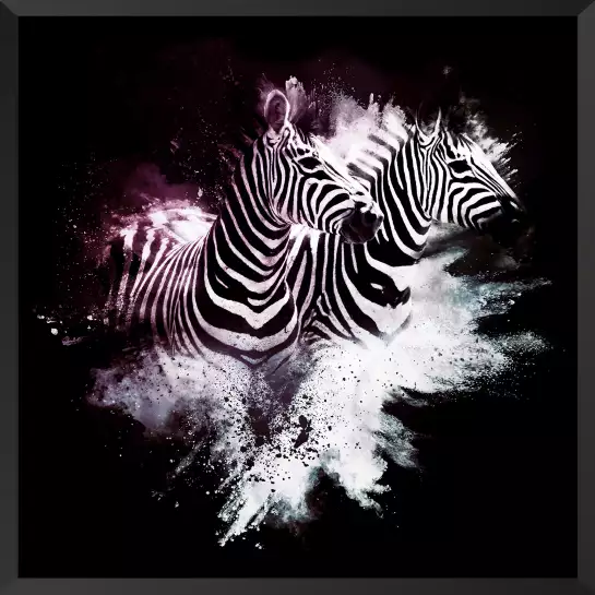 Duo zebre wild explosion - affiche animaux