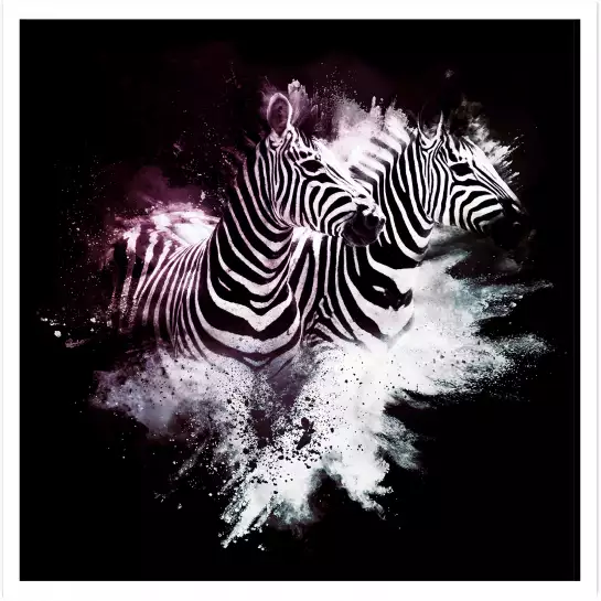 Duo zebre wild explosion - affiche animaux