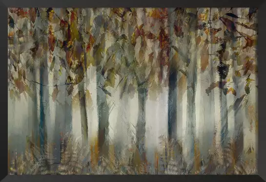 La forêt sombre - paysage de foret