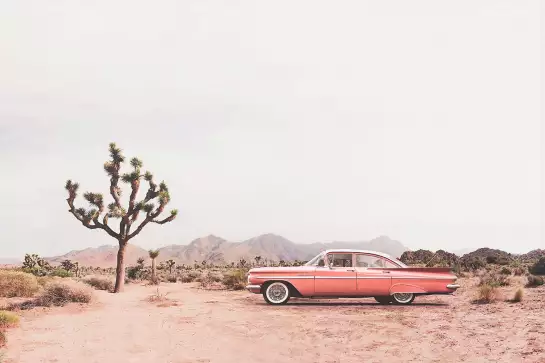 Dans le désert - affiche voiture vintage