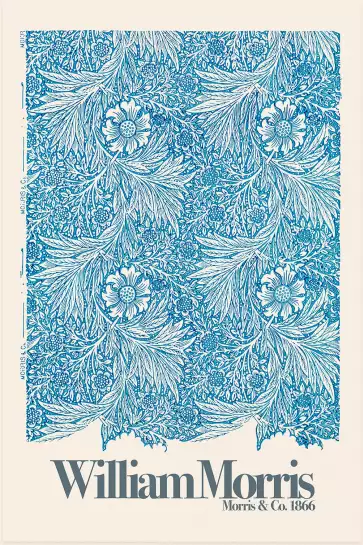 Souci bleu - affiche botanique vintage