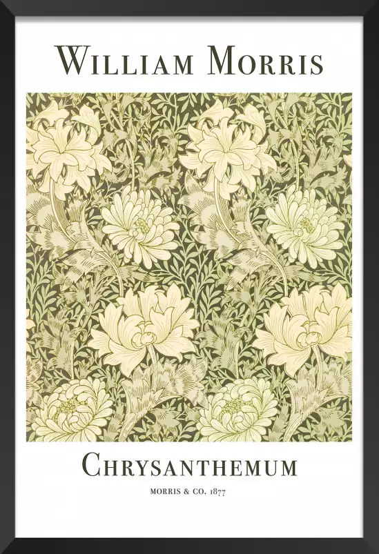 Chrysanthème - affiche botanique vintage