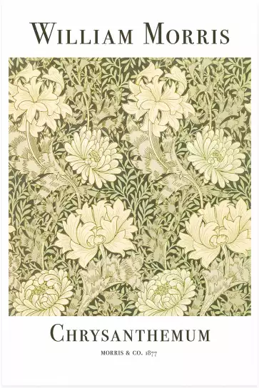 Chrysanthème - affiche botanique vintage