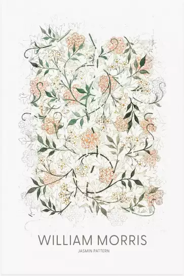 Motif de jasmin - affiche botanique vintage