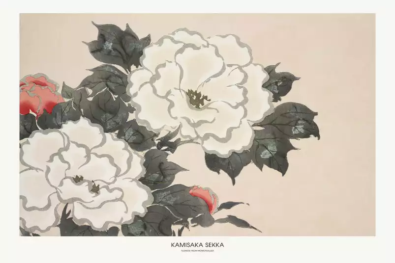 Fleurs de Momoyogusa de Kamisaka Sekka - tableau célèbre