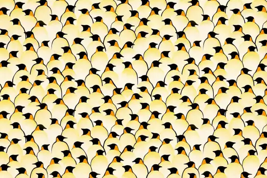 Pingouins - tableau sur toile animaux marins
