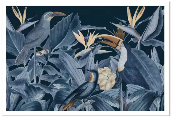Oiseaux de la forêt bleue - affiche oiseaux tropicaux