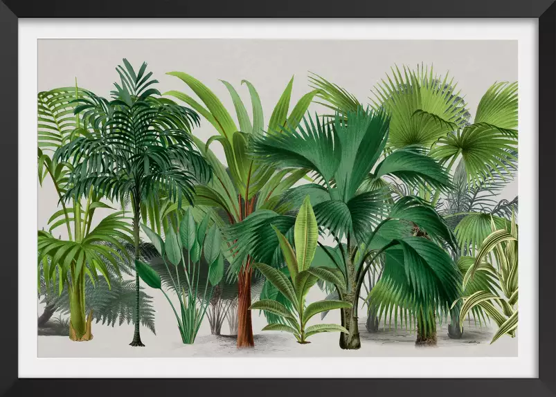 Faune exotique essai 004 - affiche jungle