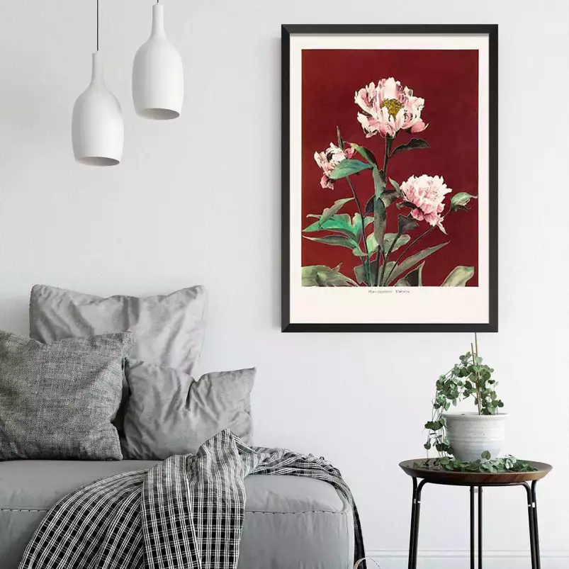 Pivoine no2 - affiche de fleurs