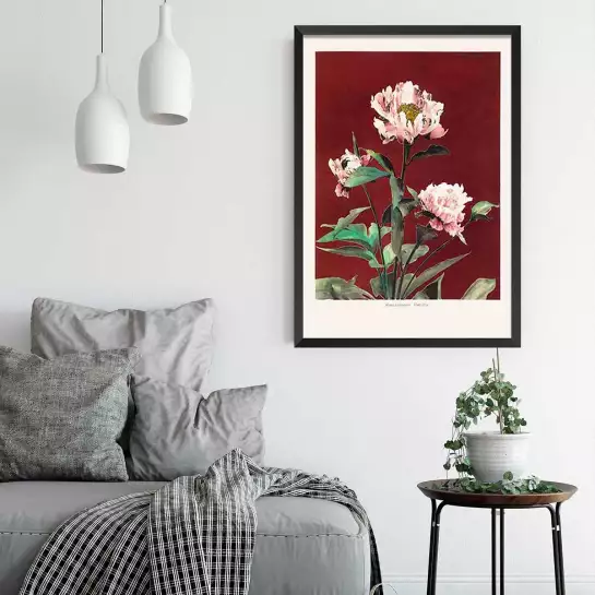 Pivoine no2 - affiche de fleurs