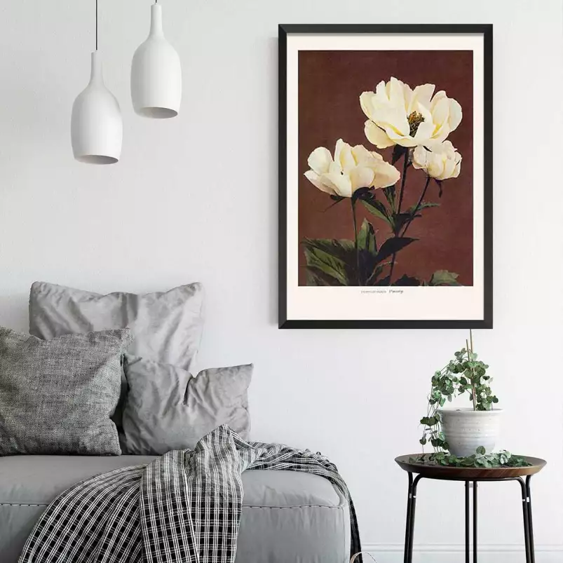 Herbacée pivoine - affiche de fleurs