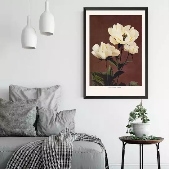 Herbacée pivoine - affiche de fleurs