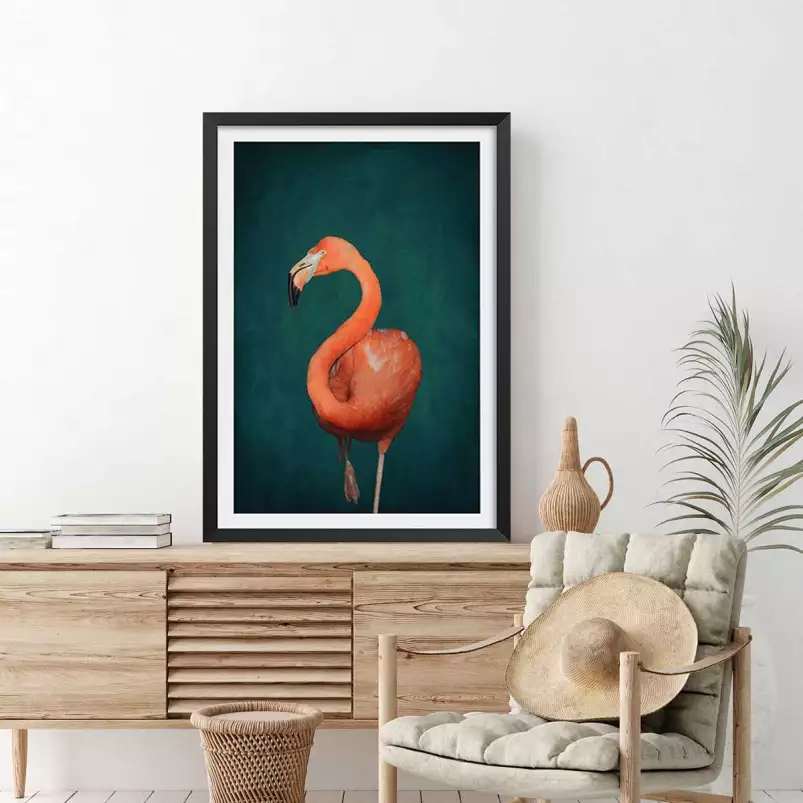 Flamant rose vert - affiche oiseaux